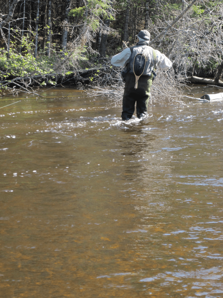 B737F658-CCDB-4C56-8F3E-04A4F1124496